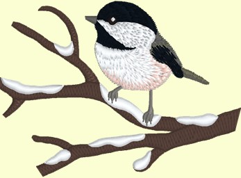 8chickadee_branch.jpg